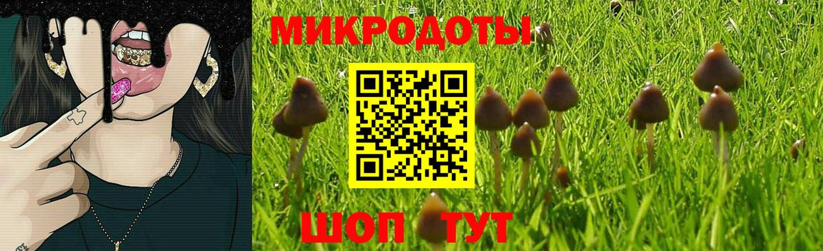 Балашов  Галлюциногенные грибы прущие грибы  Галлюциногенные грибы ЛСД  закладка  Вход с VPN 
