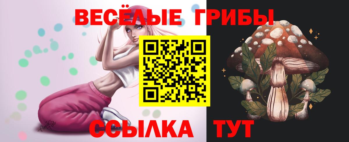 Галлюциногенные грибы ЛСД Балашов